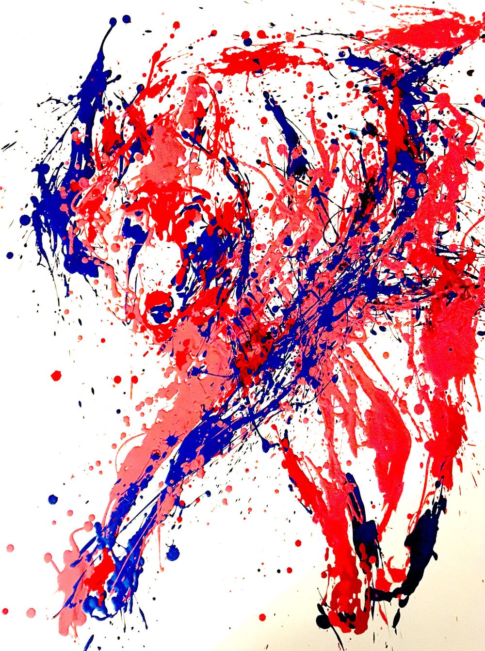 Nature Art for WiIlow Park Ecology